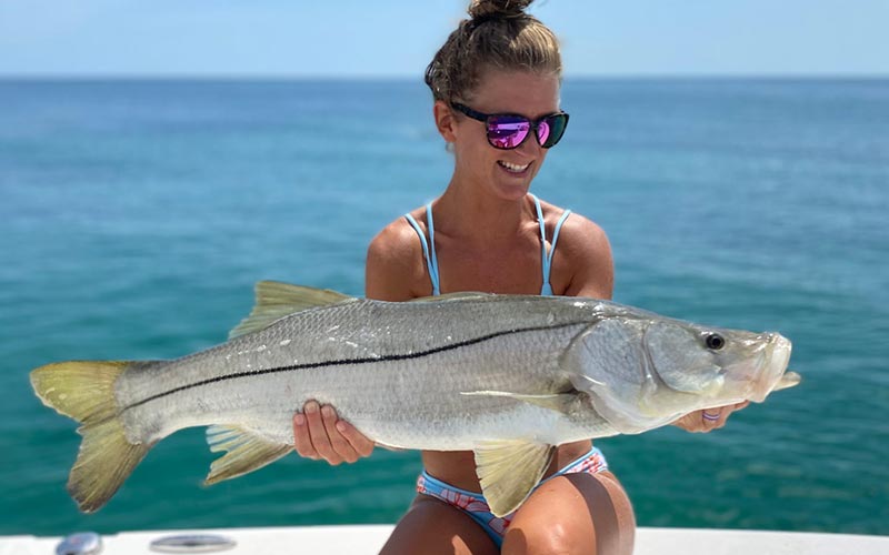 Snook catch in South Florida