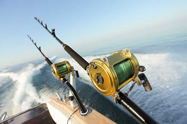 Northeast Florida Fishing Forecasts